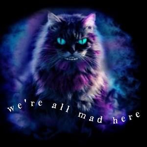 Meet your Posher, Angel